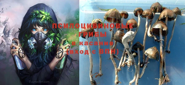 альфа пвп Алексеевка
