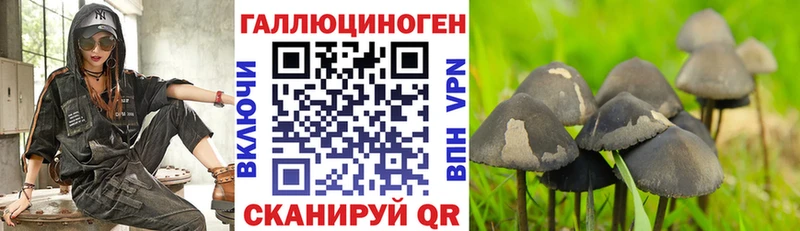 Галлюциногенные грибы MAGIC MUSHROOMS  как найти закладки  omg ссылки  Черноголовка 