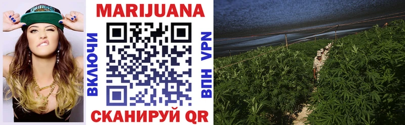 Конопля THC 21% нарко площадка телеграм Черноголовка